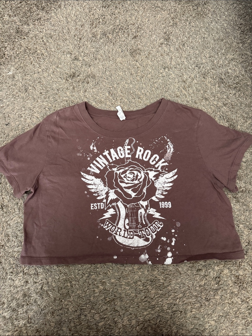 Vintage Rock Graphic Crop Tee - Brown